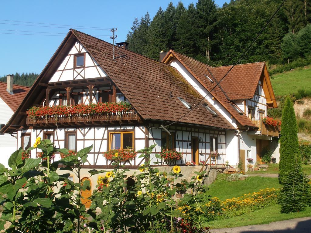 Steinhof Apartment Oberkirch  Exterior photo
