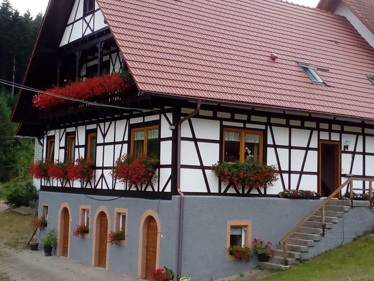 Steinhof Apartment Oberkirch  Exterior photo